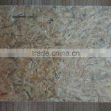 China Ossb thumbnail-1