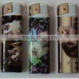 Electronic Plastic Lighter