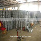 Hot Dip Barbed Wire /barbed Wire Price per Roll/razor Barbed Wire thumbnail-3