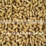 Washed Peanut in Shells 2012 crop