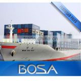 sea freight shanghai to bejaia algeria/melbourne/mumbai