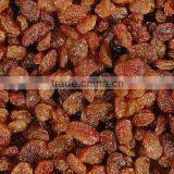 NEW CROP INDUSTRIAL RAISIN FROM INDIA thumbnail-6