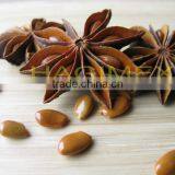 Star Aniseeds Without Stems From Vietnam, Reddish Color - High Quality by HAGIMEX thumbnail-2