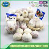 Good Price of Single Clove Garlic Packing With ISO9001 Certificate thumbnail-2