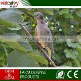 Customized color save space looks lifelike plastic pigeon for hunting