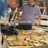 Industrial Fish Drying Machine / Dried Fish Machine thumbnail-5