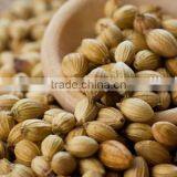 Coriander Seeds thumbnail-2