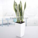 Hydroponics Flowerpot,square Planter,office Decorative Flower Pot