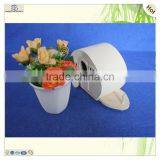 Animal Shape Lovely Style Paulownia Wooden Bird Nest House thumbnail-5