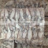 Hot Sale Whole Round Frozen Baby Squid thumbnail-1