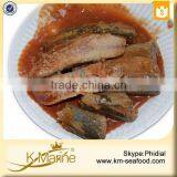 New Processing Halal Canned Mackerel Fish in Tomato Sauce thumbnail-2