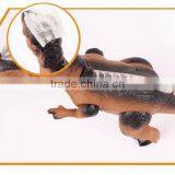 New Arrivals 2016! 2.4G rc Robotic Dinosaur King Has Dinosaur Video, RAC213129 thumbnail-4