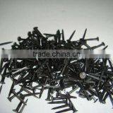 Shoe Tacks in Hardware thumbnail-1