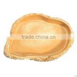 Hot Sale Yellow Color Food Grade ABS Plastic Reptile Tortoise Water Dish Food Bowl Toy For Amphibians Gecko Snakes Lizard Spider thumbnail-6