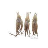 Sell Dried Squid Tentacle thumbnail-1