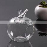Terrarium Hanging Glass Terrarium Home Decoration