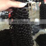 Top grade 8a malaysian kinky curly hair afro kinky human hair kinky curly hair