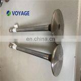 13201-43G01 Engine Intake Valve NI-SSAN Diesel Engine Type TD27 TD42 thumbnail-2