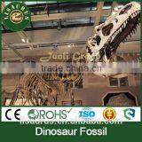 Lisaurus-0238 High Authentic Simulation Dinosaur Fossils for Sale