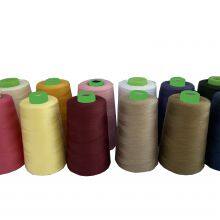 Manufacturer Supplier 40/2 Customized Multicolor Polyester Sewing Thread Yarn for Multiple Use thumbnail-2