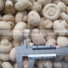 Wholesale Good Quality Delicious Frozen Champignon Mushroom thumbnail-3