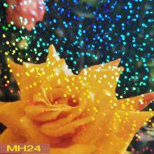 Cold Lamination Film Holographic Transparent , Clarity Holographic Film thumbnail-3
