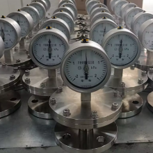 Diaphragm Thread 14*1.5 Stainless Steel 316L Shock, Corrosion and High Temperature Diaphragm Pressure Gauge thumbnail-2