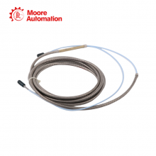 Bently Nevada 330930-040-02-00 thumbnail-5