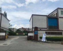 Dongguan Zhenrong Leather Products Co., Ltd. company overview - view 1 thumbnail