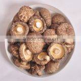 Hot Sun-Dried Organic Shiitake Mushroom thumbnail-5