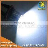 Super Bright E39 5W LED Angel Eye thumbnail-2