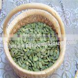 Chinese white pumpkin seeds kernels