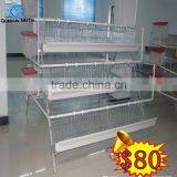 Automatic Poultry Farming Equipment for Breeder/broiler/turkey/chicken Farm thumbnail-1