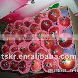 Fresh Custard Apple Red Apple thumbnail-1