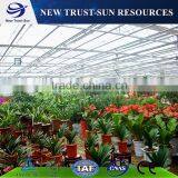 Simple Low Cost Polycarbonate/ PC Greenhouse With Hydroponics System thumbnail-3