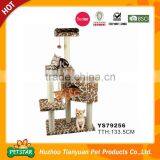 Professional Wholesale Leopard Design House Cats for Sale Quality Choice