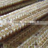 Lyophisized Royal Jelly Powder thumbnail-5