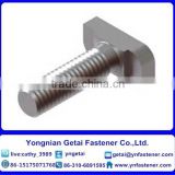 T-head bolts with square neck bolts , Hot Dip Galvanized (H.D.G) /Galvanized with black /yellow zinc plated/blue white