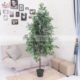 Yiwu Cheap Indoor Decorative Artificial Ficus Plant