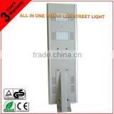 Golden Supplier 30W LED Street Light Solar Panel