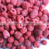 Grade A 95% Whole Frozen IQF Raspberry thumbnail-1