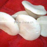 2016Shijixiang Fresh Mushroom(Organic) thumbnail-1