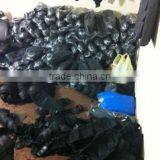 Safa Sports company overview - view 2 thumbnail