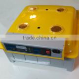 Factory Price !! Just 21 days, Automatic 48 egg incubator