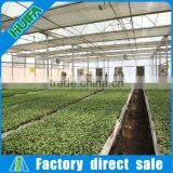 Lowest Price Greenhouse Growing Vegetable thumbnail-6