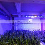 MarsHydro Marsii Led Grow Light 60 120cm Bar Full Spectrum Led Grow Light thumbnail-2