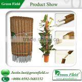 Coco Pole thumbnail-1