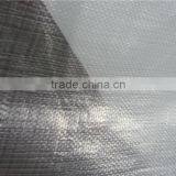 Clear Greenhouse Tarps, Transparent HDPE Tarpaulin Fabric, Anti-UV Tarpaulin Covering thumbnail-2