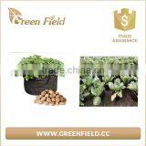 Wholesale Vegetable Felt Planter Bag Felt Potato/Carrot Planter Pots thumbnail-2