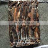 China Supplier Frozen Illex Squid thumbnail-1